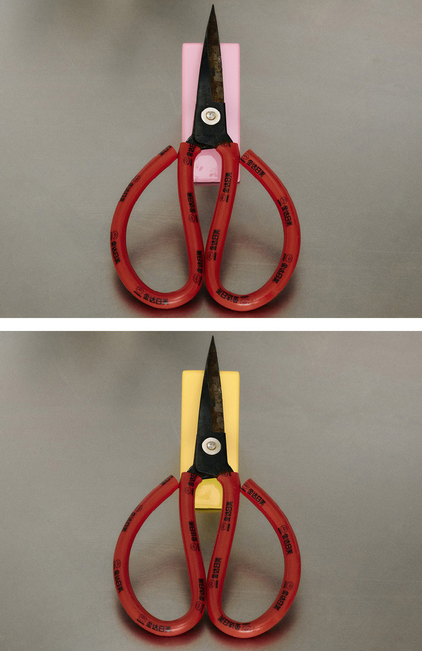 Little Family studio photograph 12